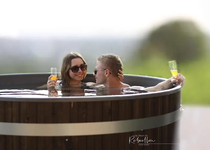 Dom wakacyjny Les Hauts De Rebeillou - *