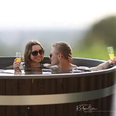 別荘 Les Hauts De Rebeillou - *